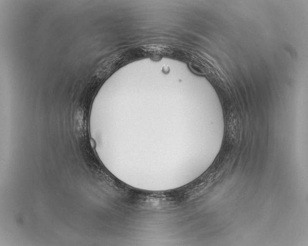 X0000115430420200912020928