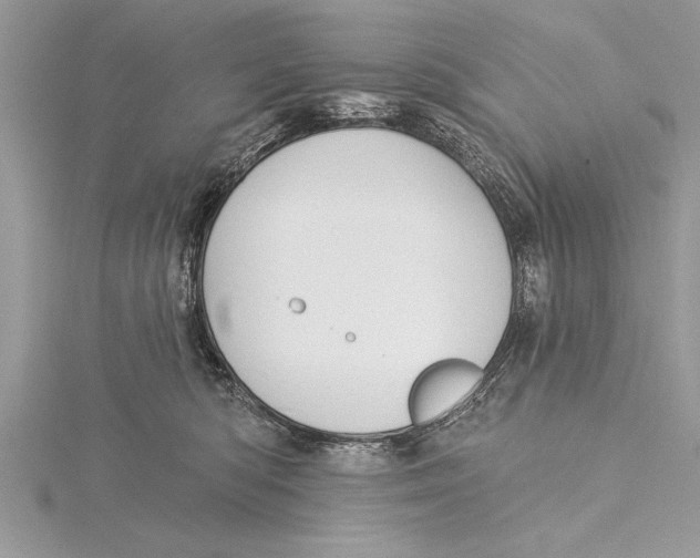 X0000115430422200912020928