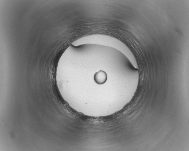 X0000115430424200912020928