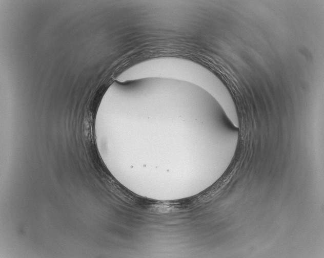 X0000115430425200912020928