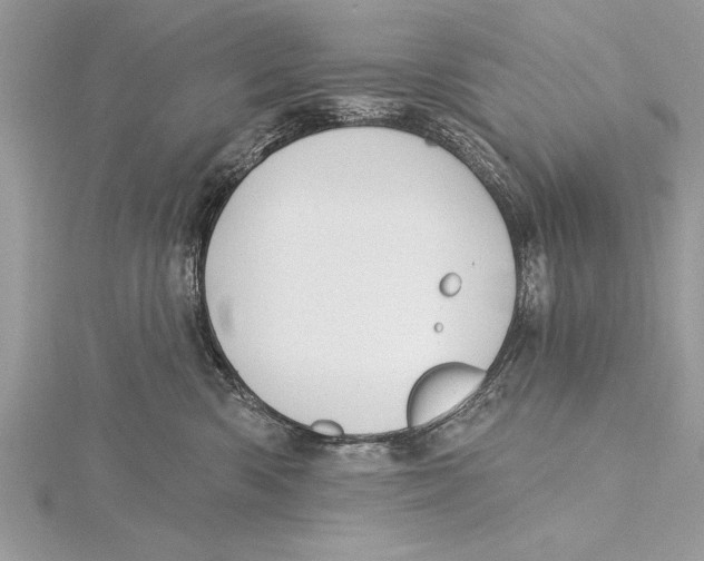 X0000115430426200912020928