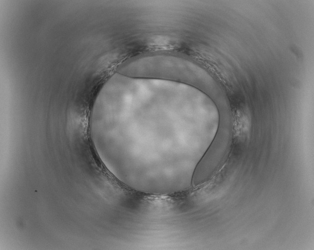 X0000115430427200912020928