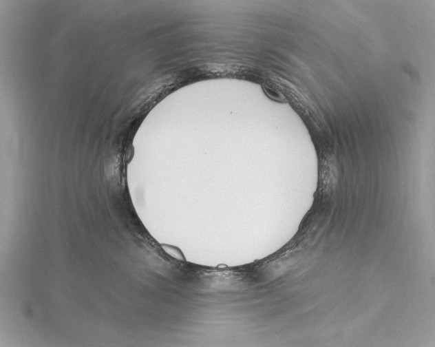 X0000115430428200912020928