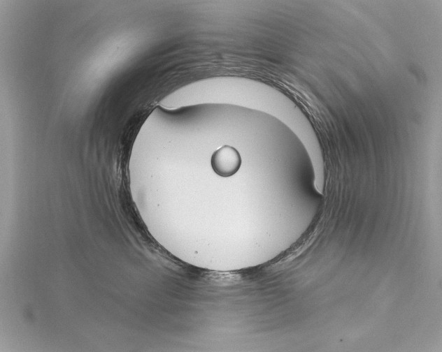 X0000115430429200912020928