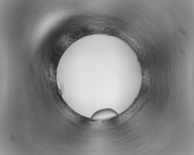 X0000115430430200912020928