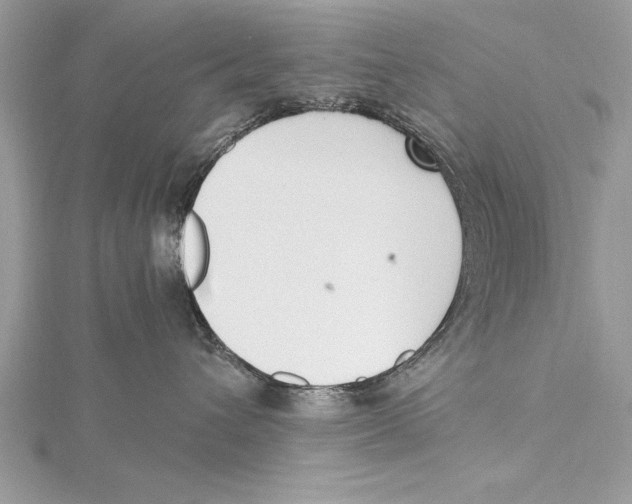 X0000115430432200912020928