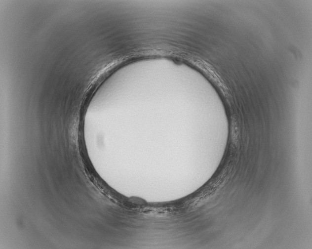 X0000115430434200912020927