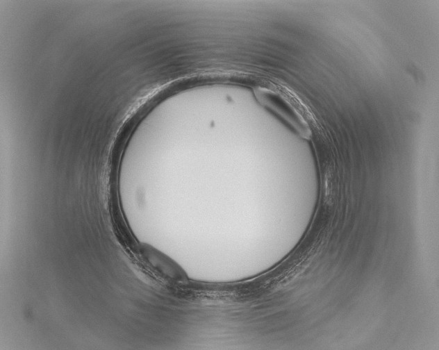 X0000115430436200912020927