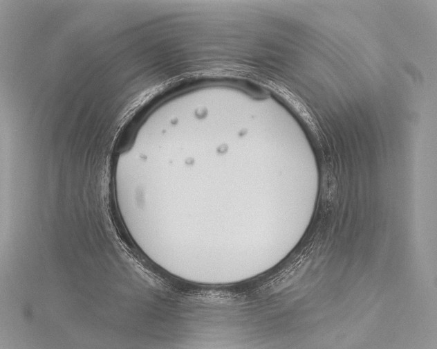 X0000115430437200912020927