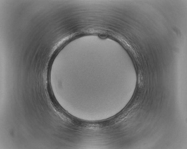 X0000115430438200912020927