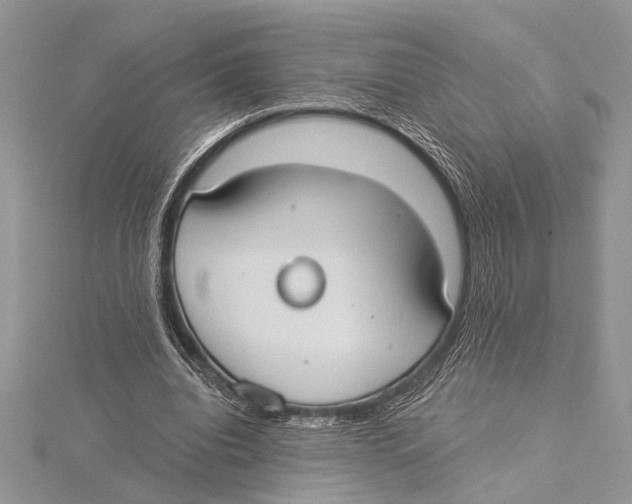 X0000115430440200912020927