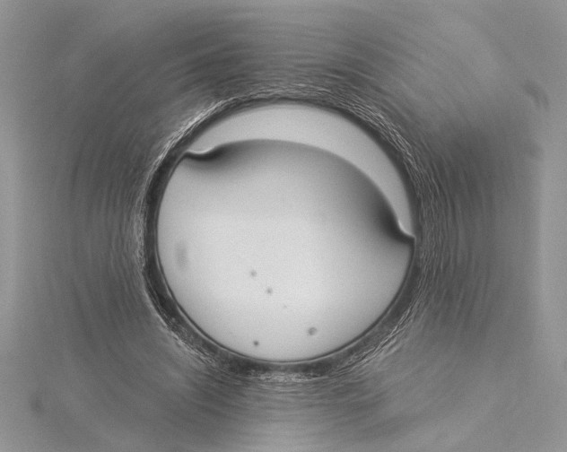 X0000115430444200912020928