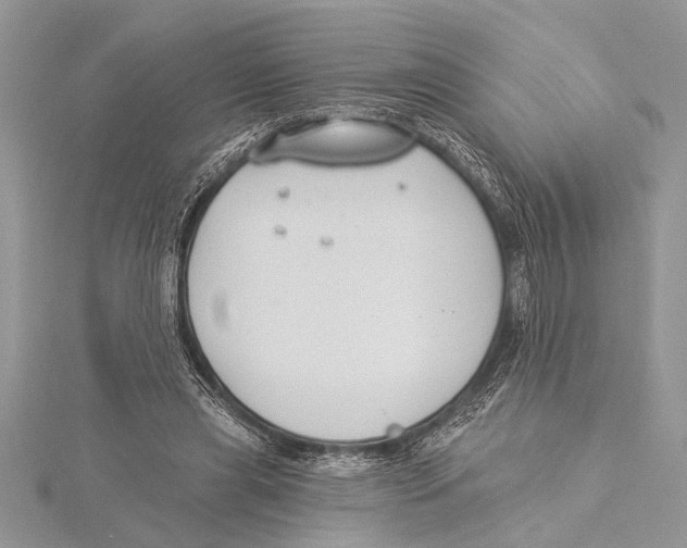 X0000115430445200912020928