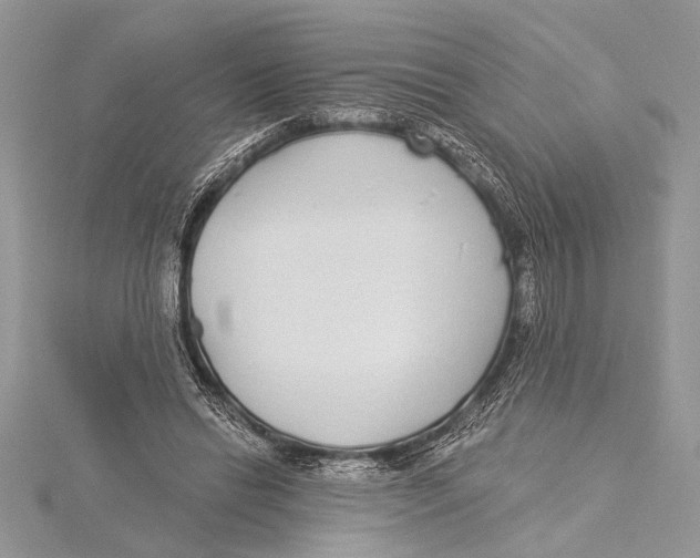 X0000115430446200912020928