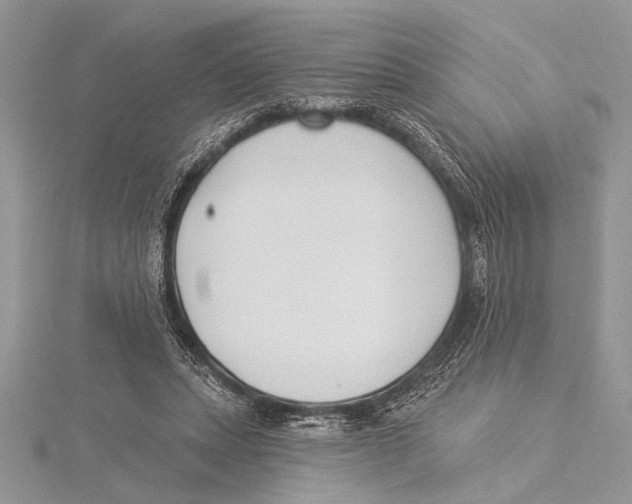 X0000115430447200912020928