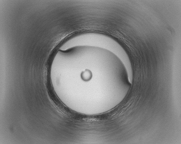 X0000115430448200912020928