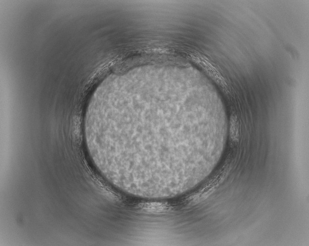 X0000115430449200912020928