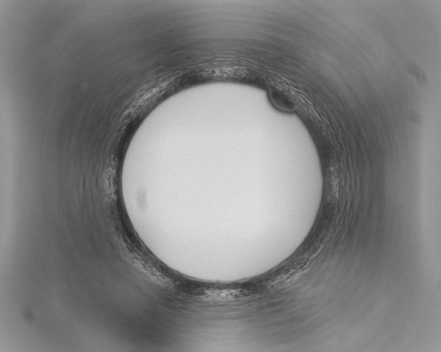 X0000115430450200912020928