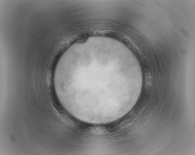 X0000115430451200912020928