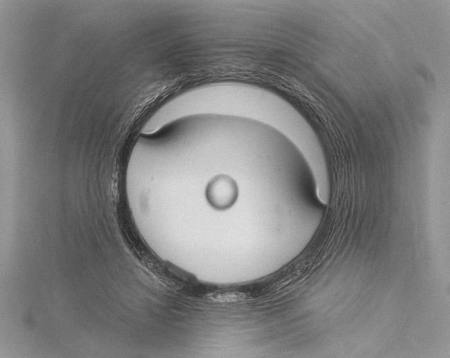 X0000115430452200912020928