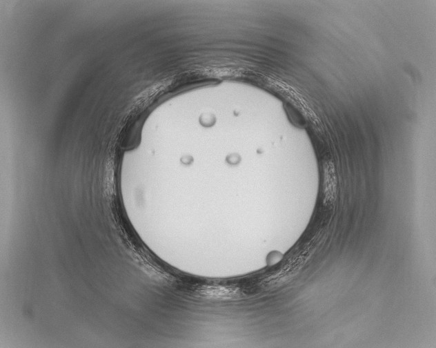 X0000115430453200912020928