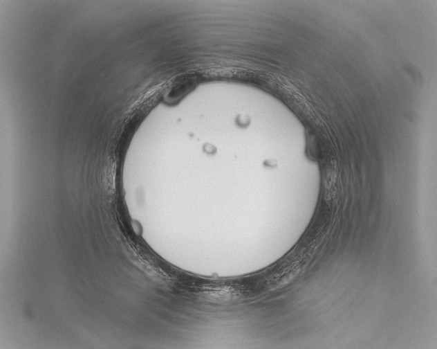 X0000115430454200912020928