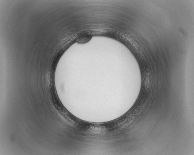 X0000115430455200912020928