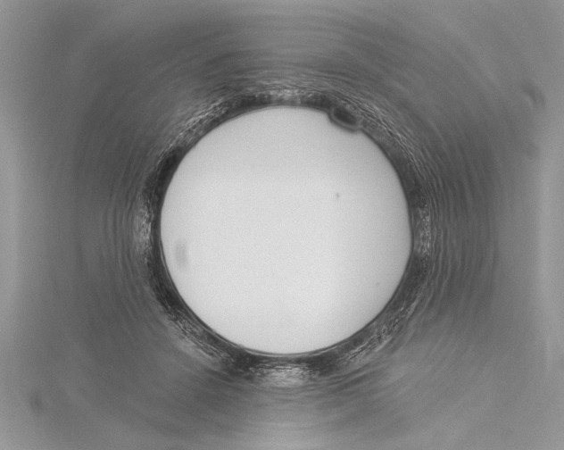 X0000115430456200912020928