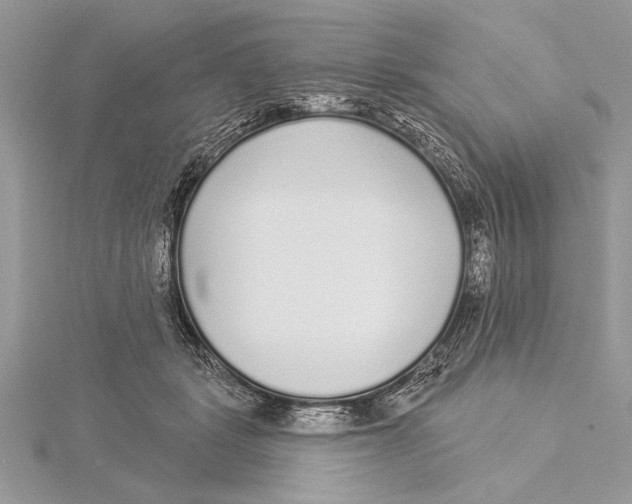 X0000115430461200912020928