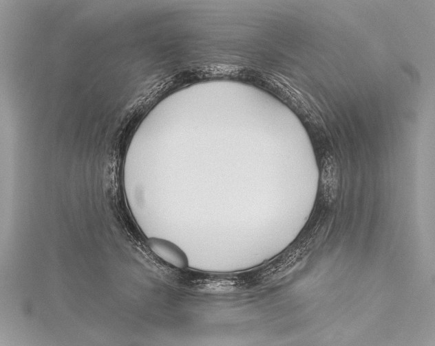 X0000115430462200912020928