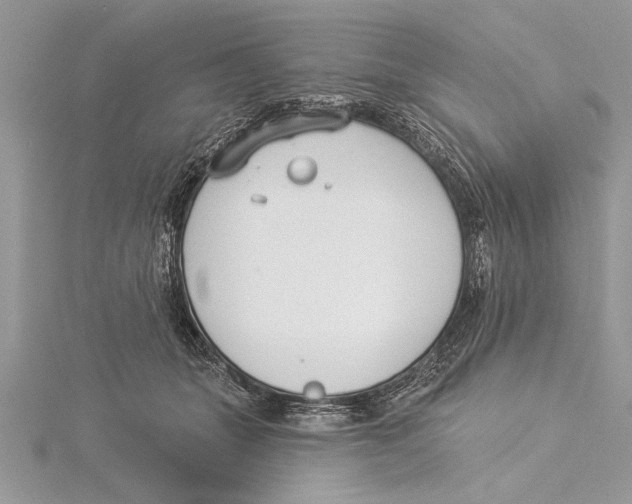 X0000115430463200912020928