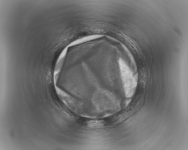 X0000115430465200912020928