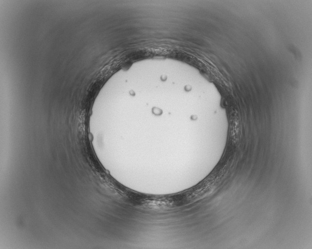 X0000115430466200912020928