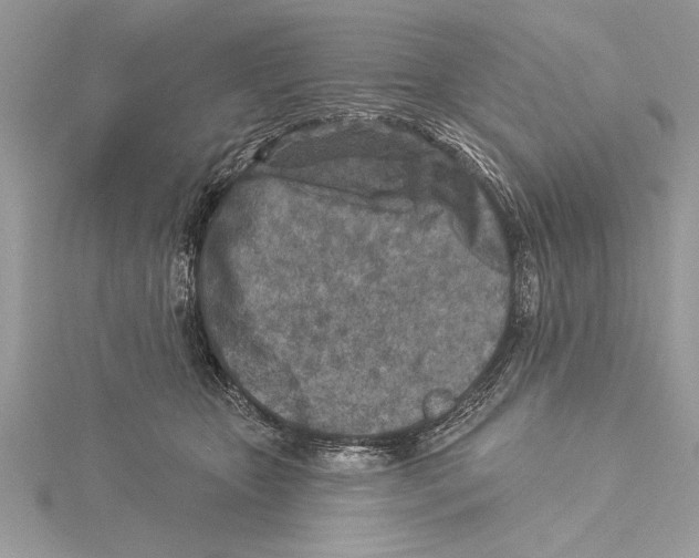 X0000115430467200912020928