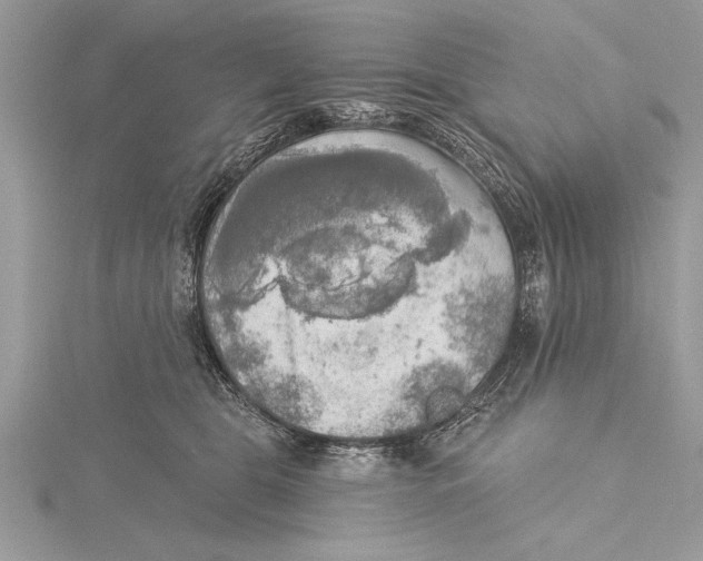 X0000115430469200912020928