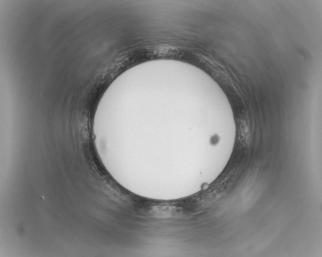 X0000115430470200912020928