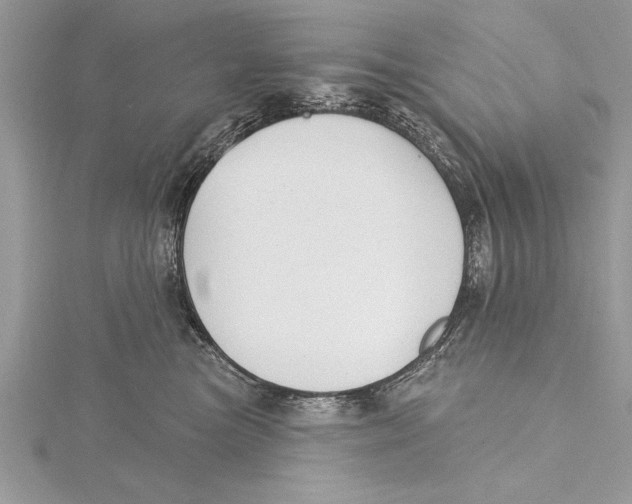 X0000115430473200912020928