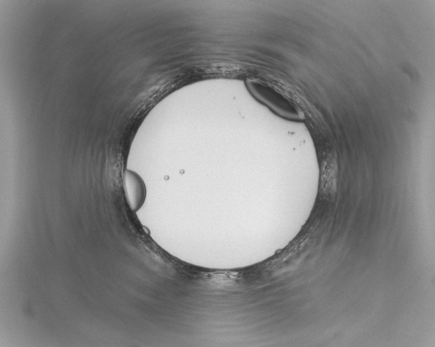 X0000115430474200912020928