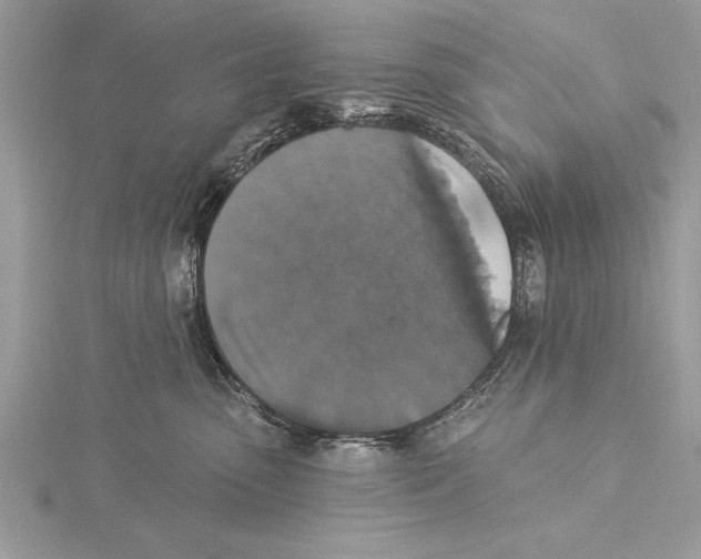 X0000115430475200912020928