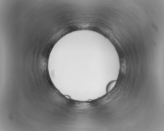 X0000115430476200912020928