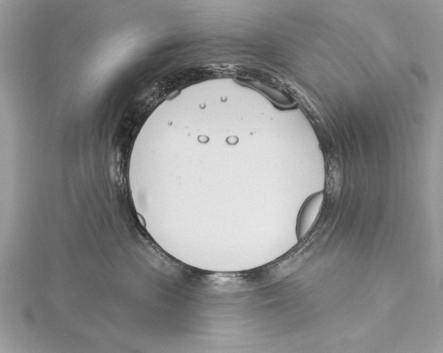 X0000115430477200912020928