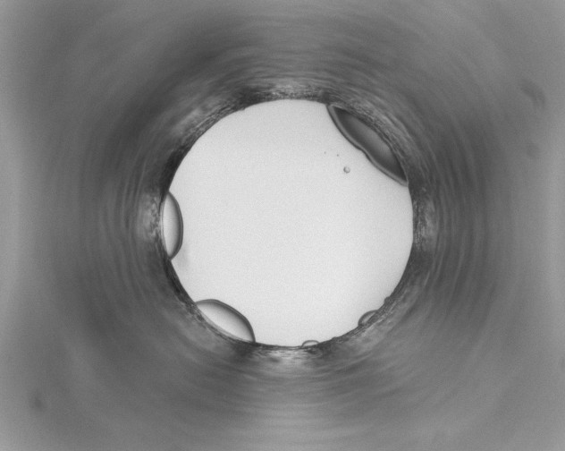 X0000115430478200912020928