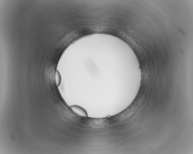 X0000115430479200912020928