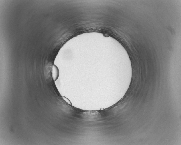 X0000115430480200912020928