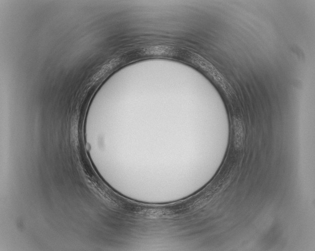 X0000115430482200912020927