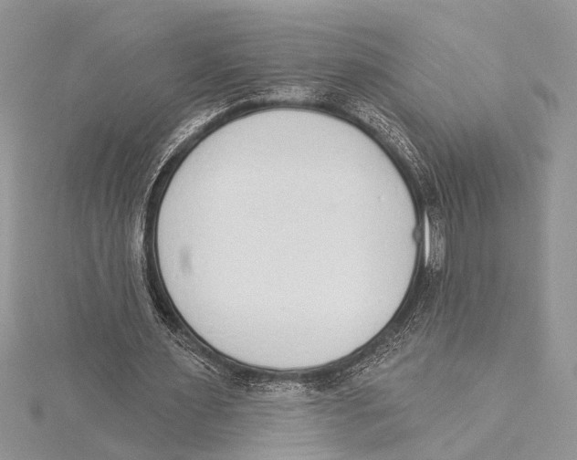 X0000115430483200912020927