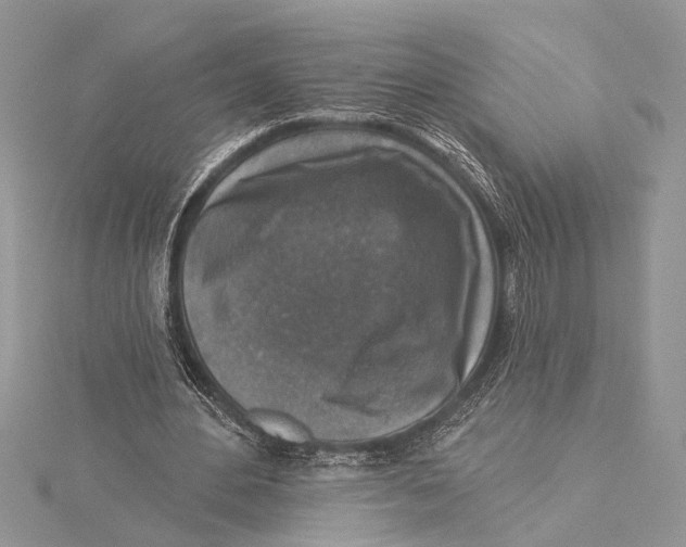 X0000115430484200912020927