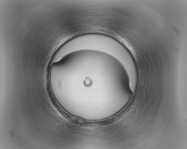 X0000115430485200912020927