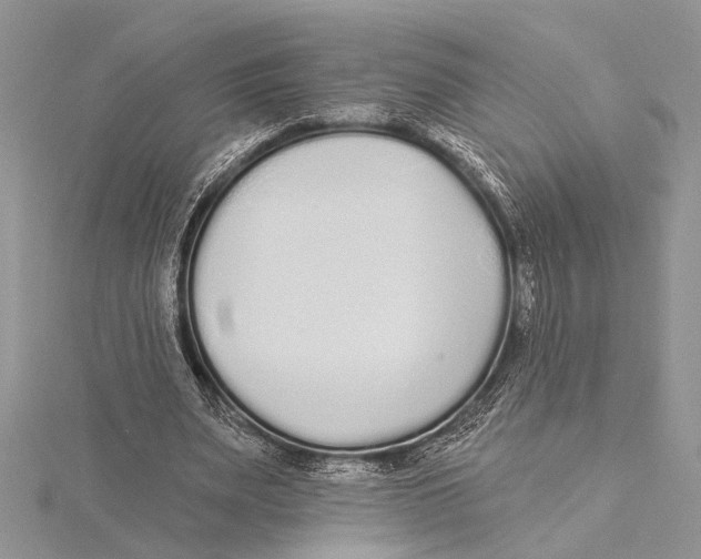 X0000115430487200912020927