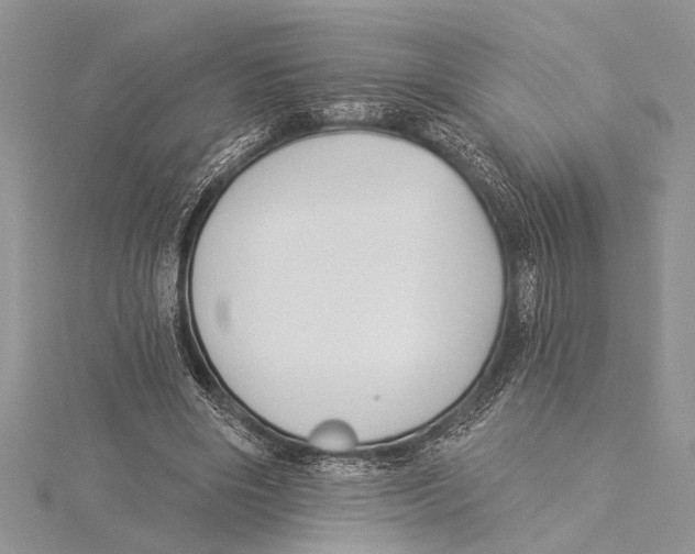 X0000115430490200912020927